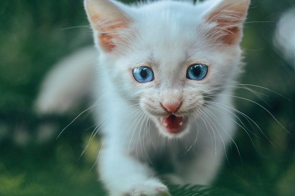 Photograph by Melvin Carantes