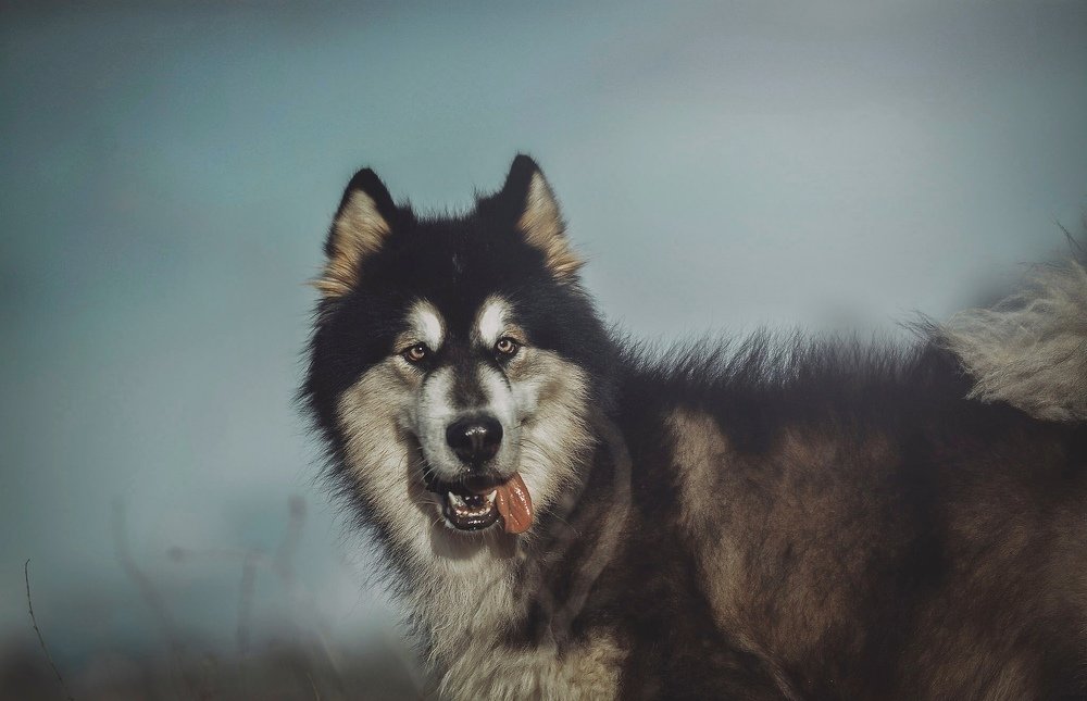 Photograph by Melvin Carantes