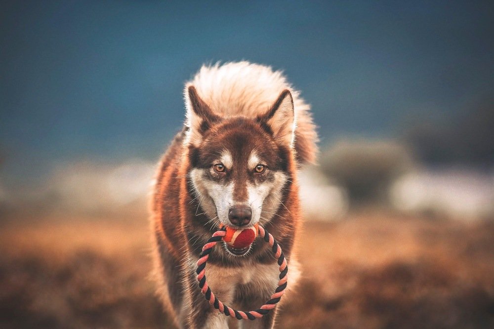 Photograph by Melvin Carantes