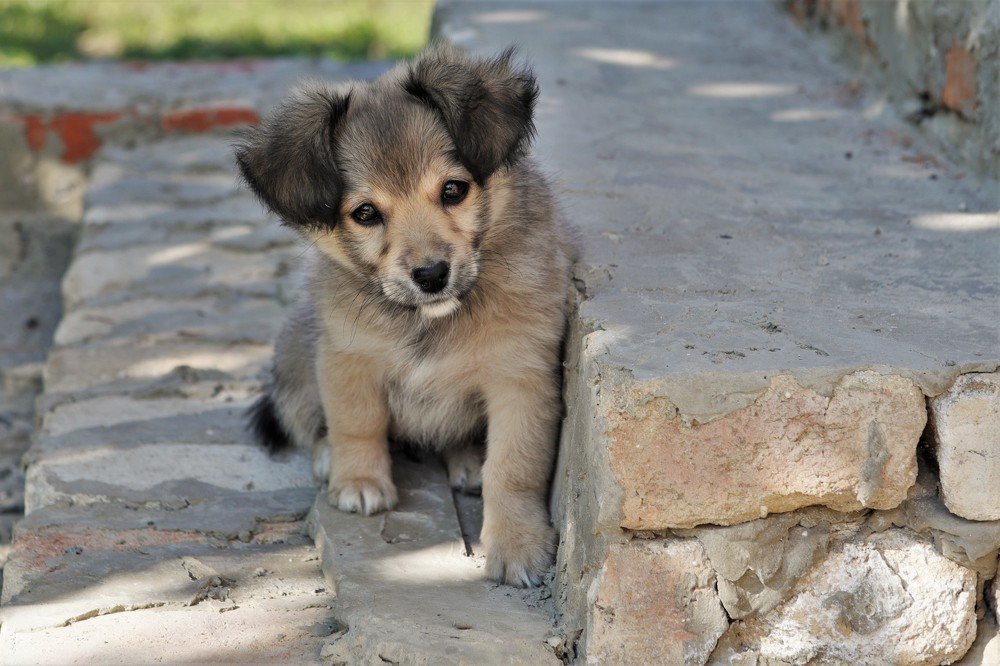 Photograph by Андрей Телибаев