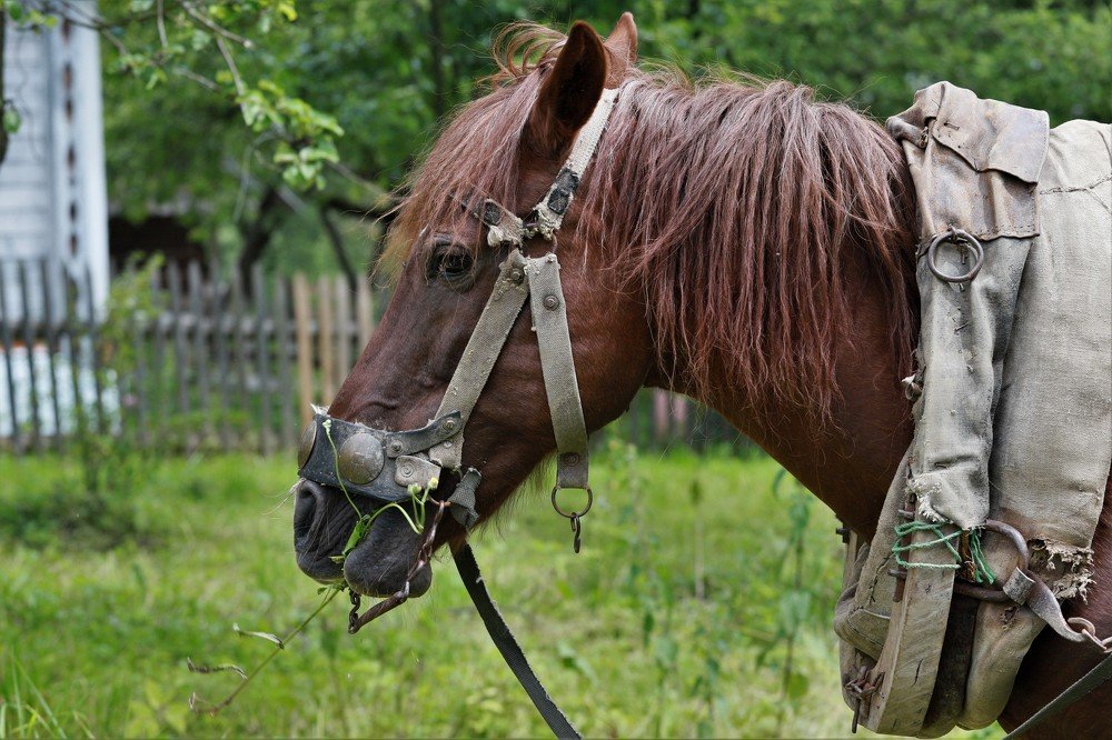 Photograph by Андрей Телибаев