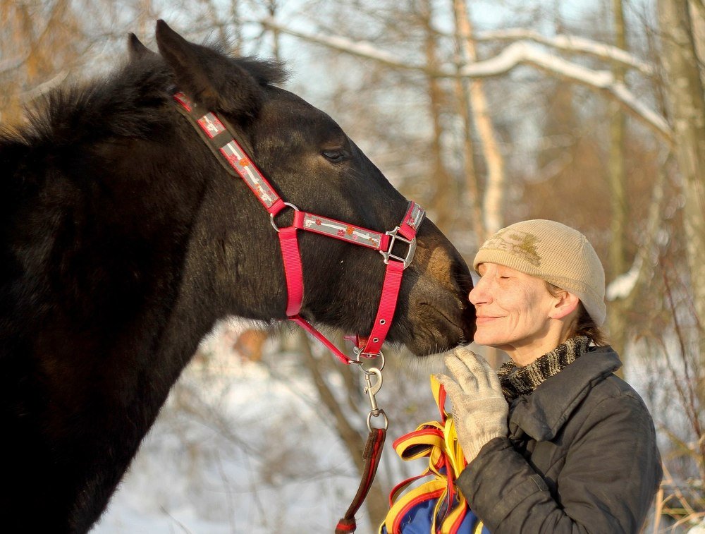 Photograph by Татьяна Александрова