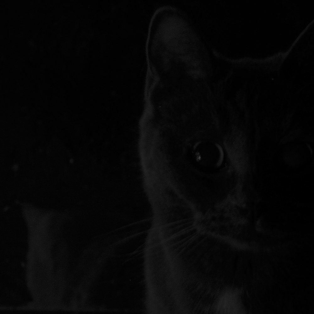 Photograph by Валерия Варшавская