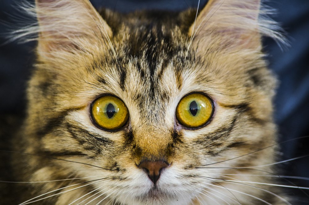 Photograph by Victoria Krasyuk