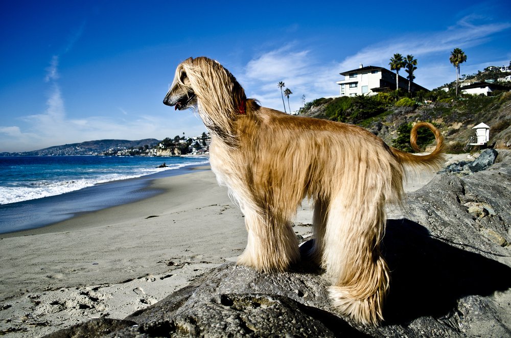 Photograph by Victoria Krasyuk