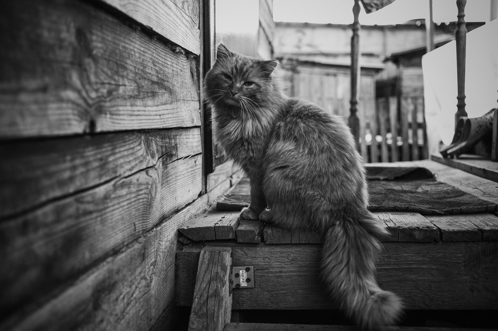 Photograph by Андрей Бодров