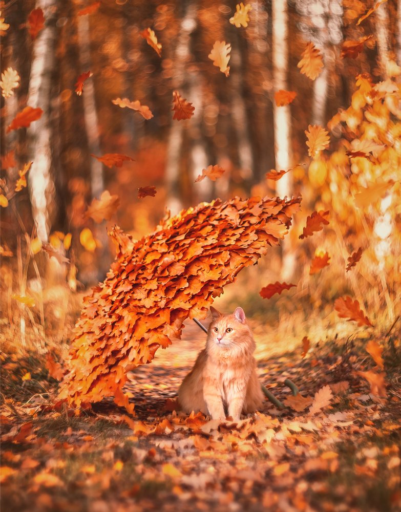 Фотография автора Анастасия Мазурева