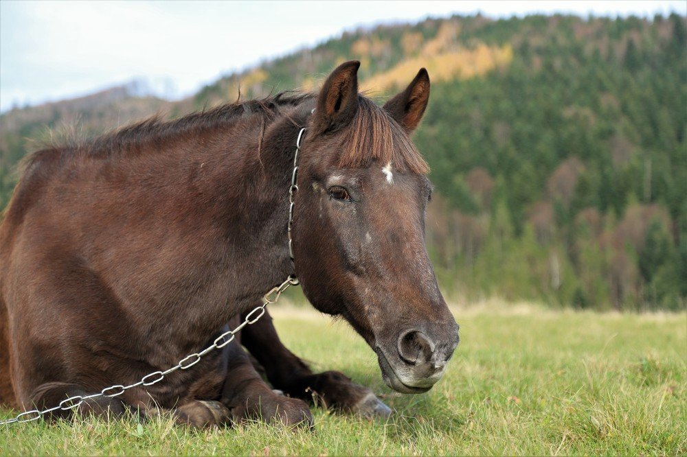 Photograph by Андрей Телибаев
