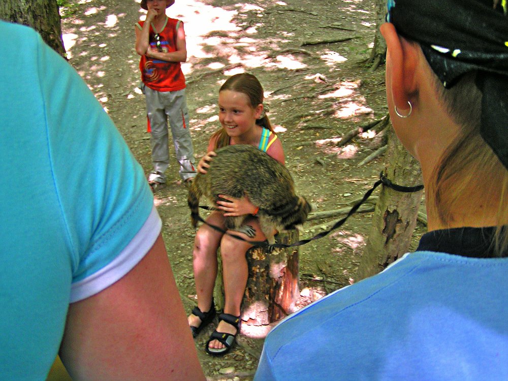 Девочка с енотом.