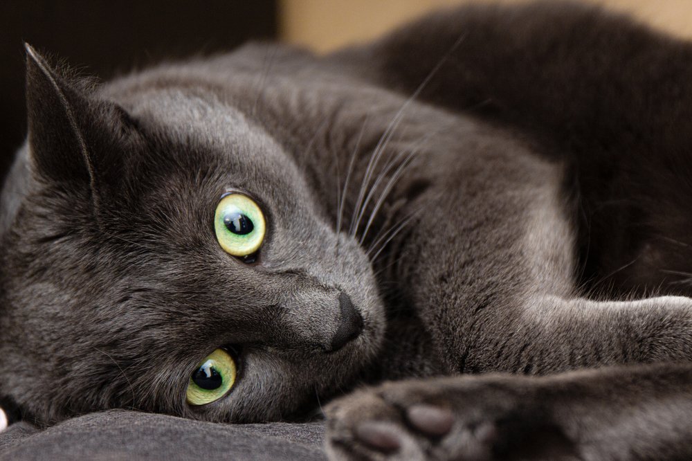 Photograph by Юрий Карпенко