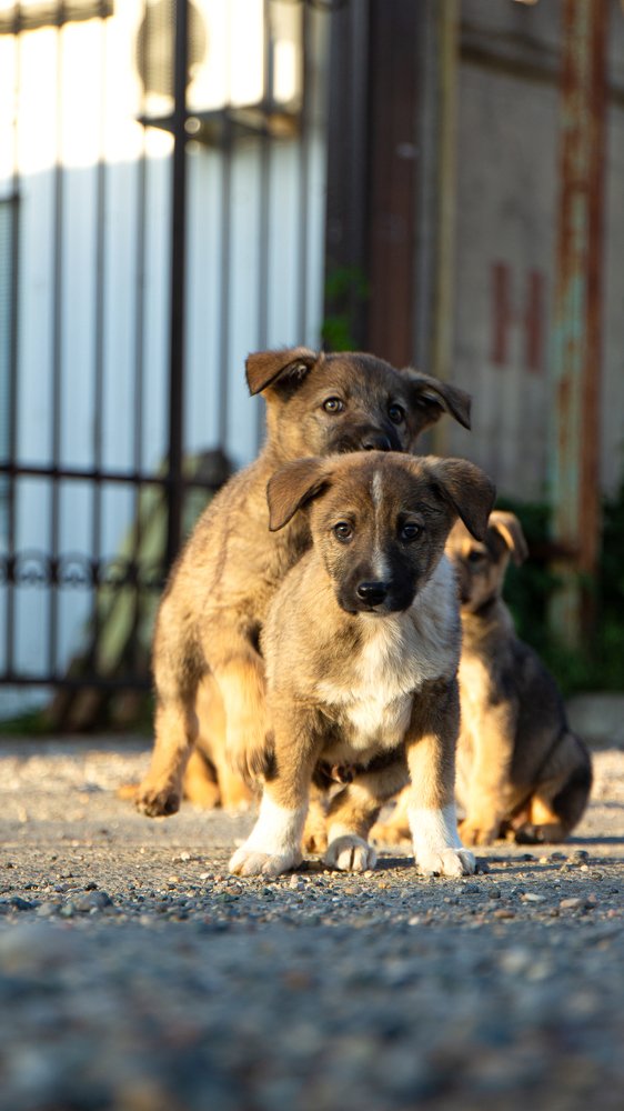 Photograph by Юрий Карпенко