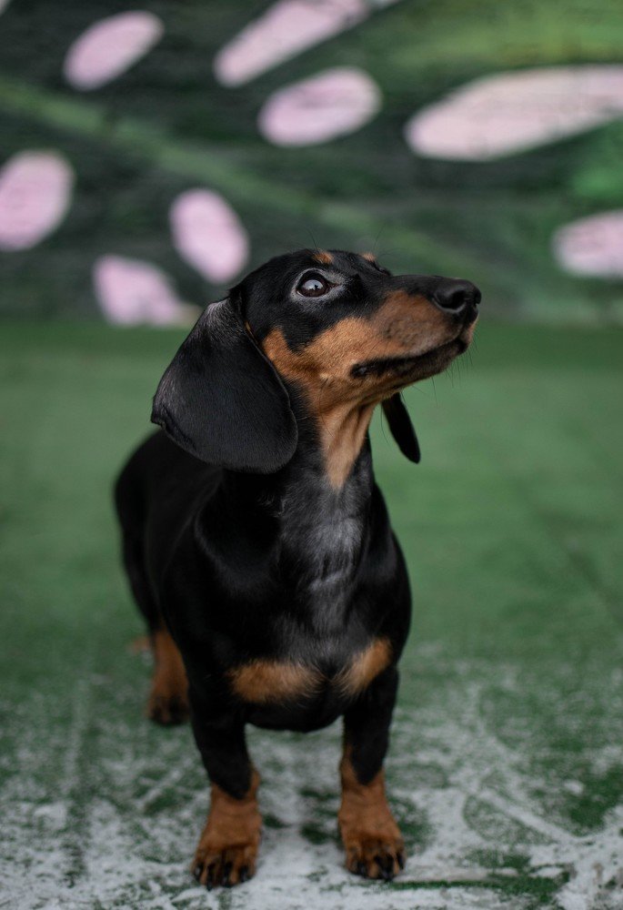 Photograph by Дарья Зайцева