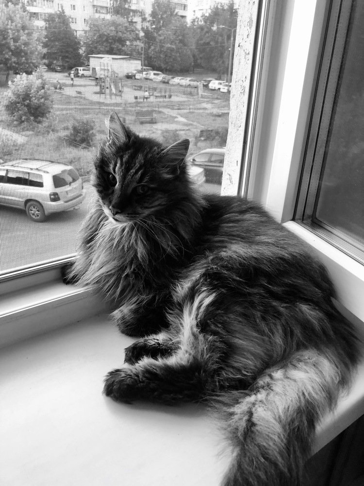 Photograph by людмила жукова