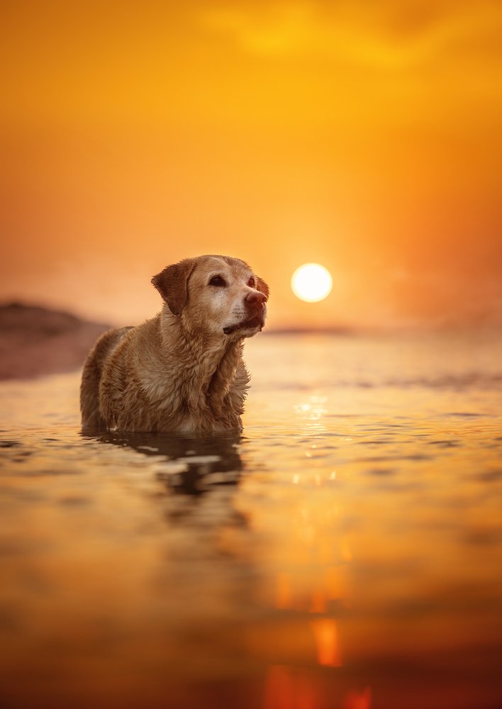 Photograph by Alexandre Marques