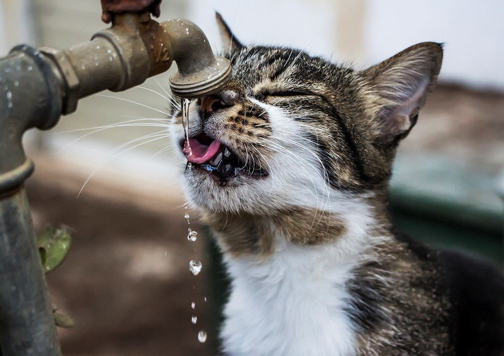 Photograph by Валентина Лопаткина