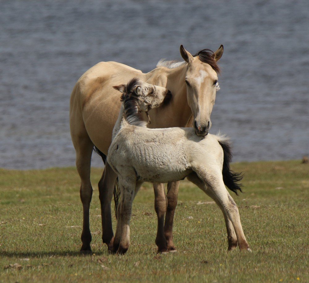 Photograph by Валентина Лопаткина