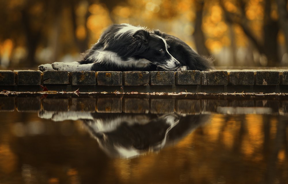 Photograph by Alexandre Marques