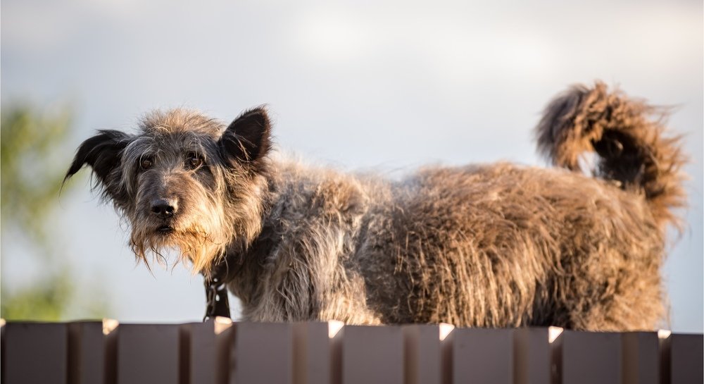 Photograph by Сергей Пашнов