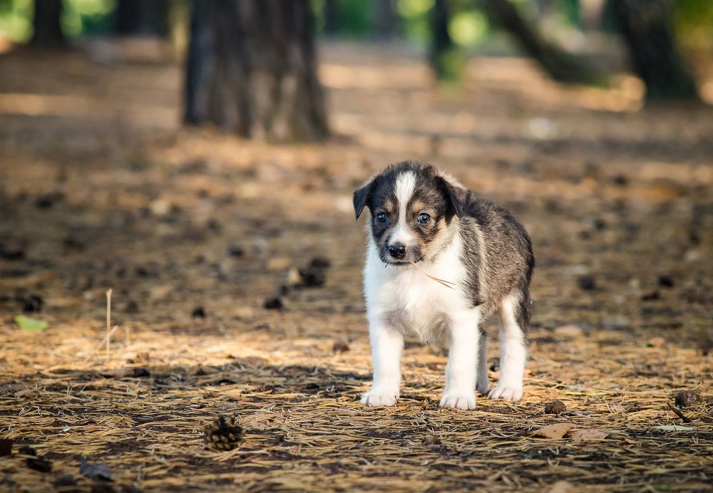 Photograph by Сергей Пашнов