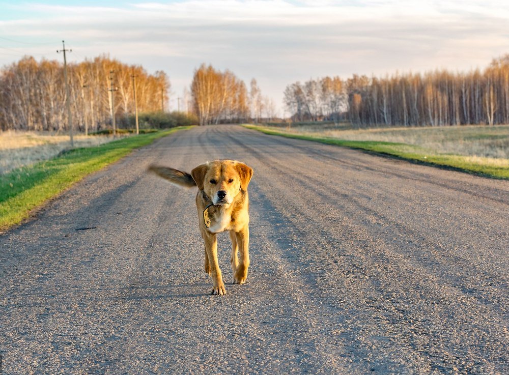 Photograph by Сергей Пашнов