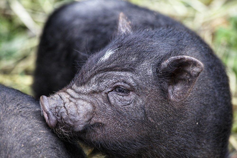 Фотография автора Юлия Егорова
