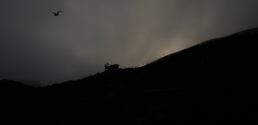 Photograph by Maksym Kolenkov