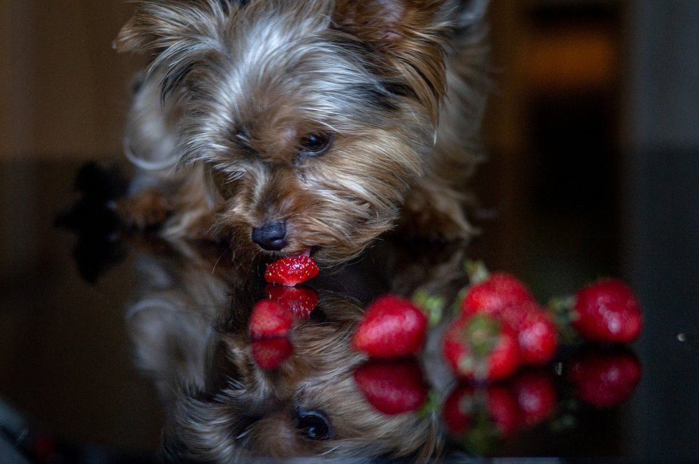 Photograph by Юлия Харечкина