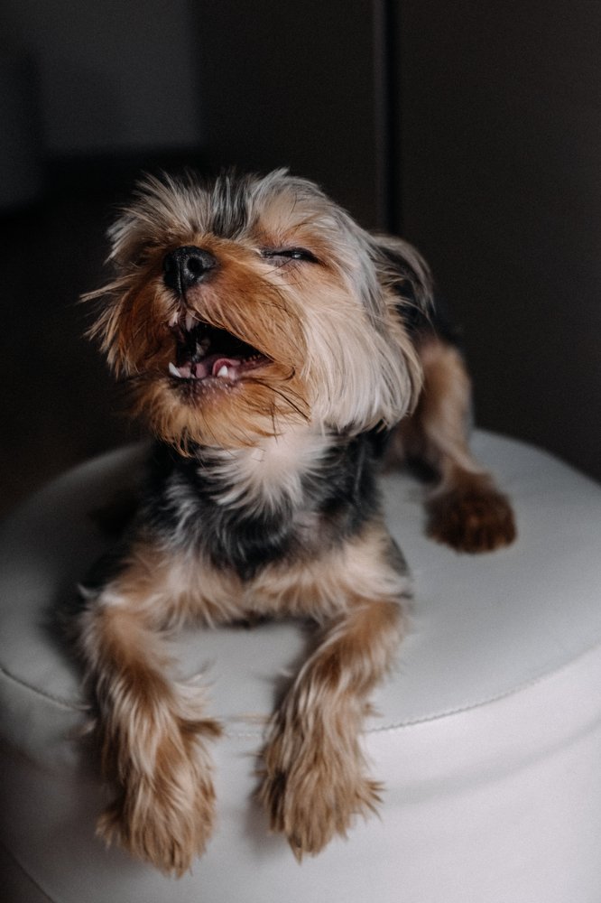 Photograph by Юлия Харечкина