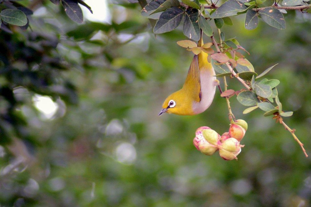 Photograph by Aniket Gurav