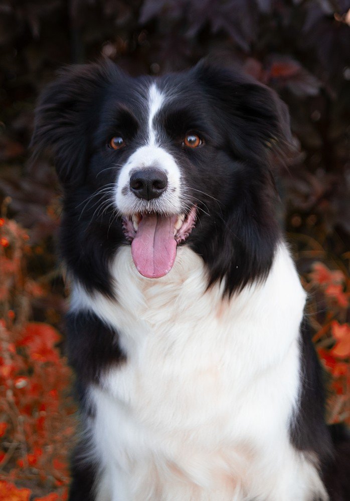 Photograph by Марк Филатов