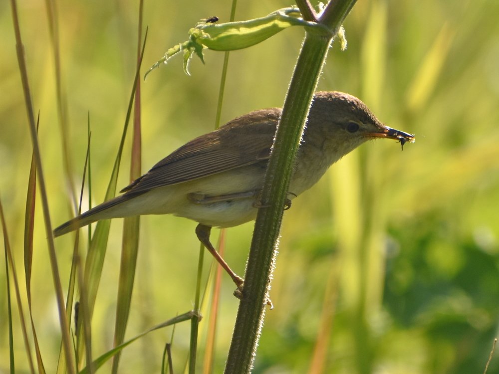 Photograph by Наталья Аржинт