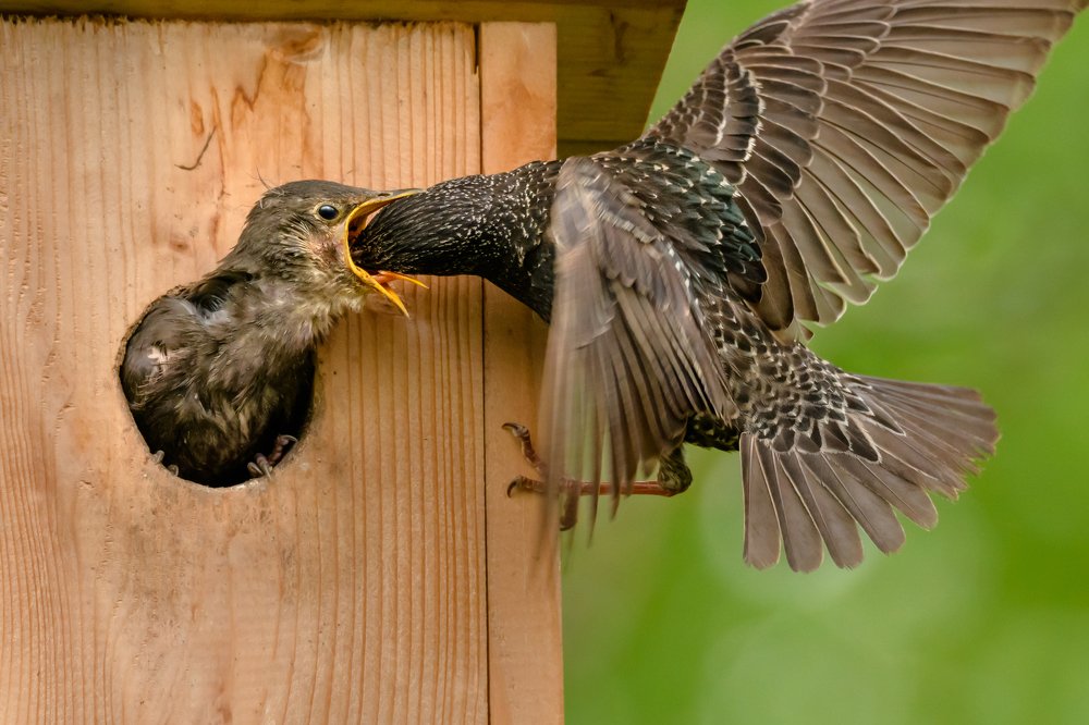 Дозаправка