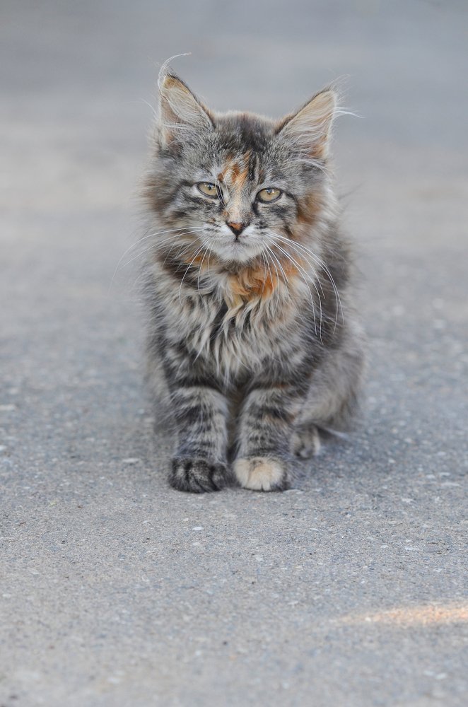 Photograph by Виктория Потапова