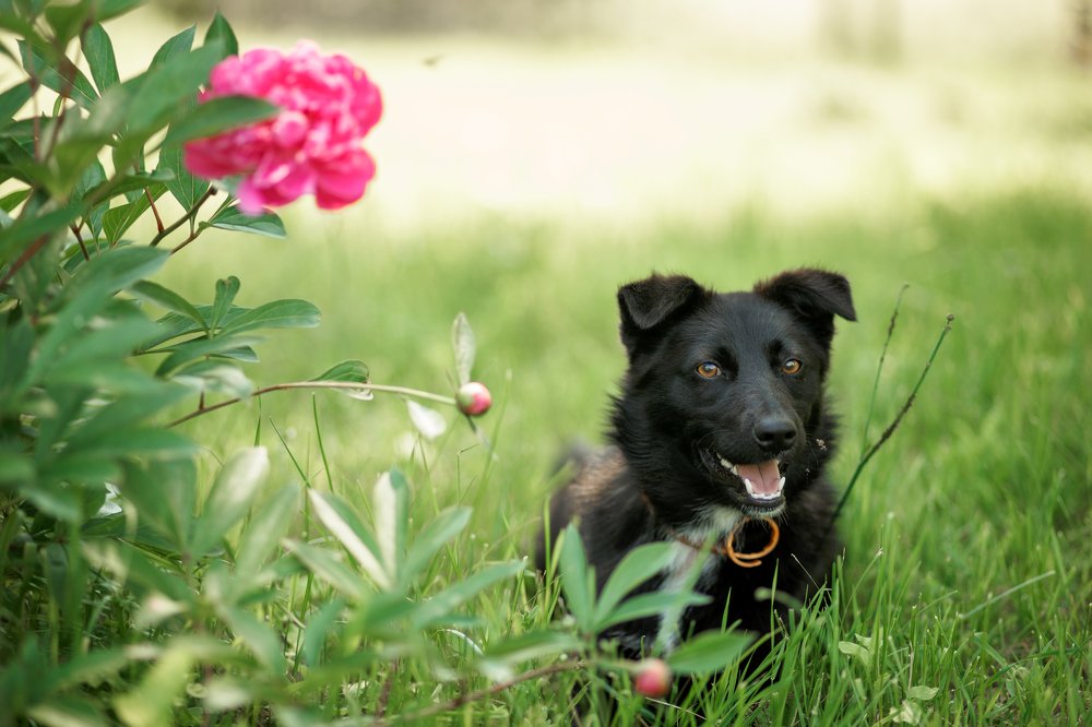 Photograph by Татьяна Бушук