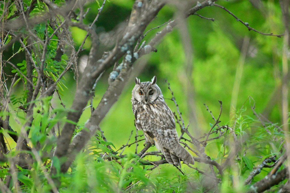 Photograph by Наталья Аржинт