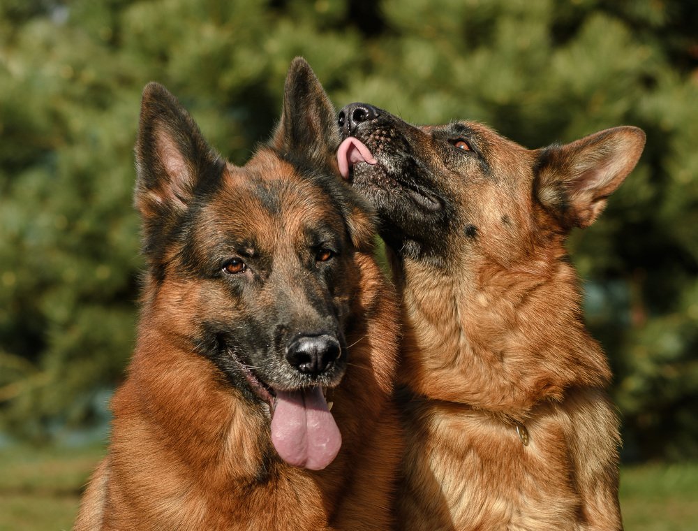 Photograph by Ксения Соварцева