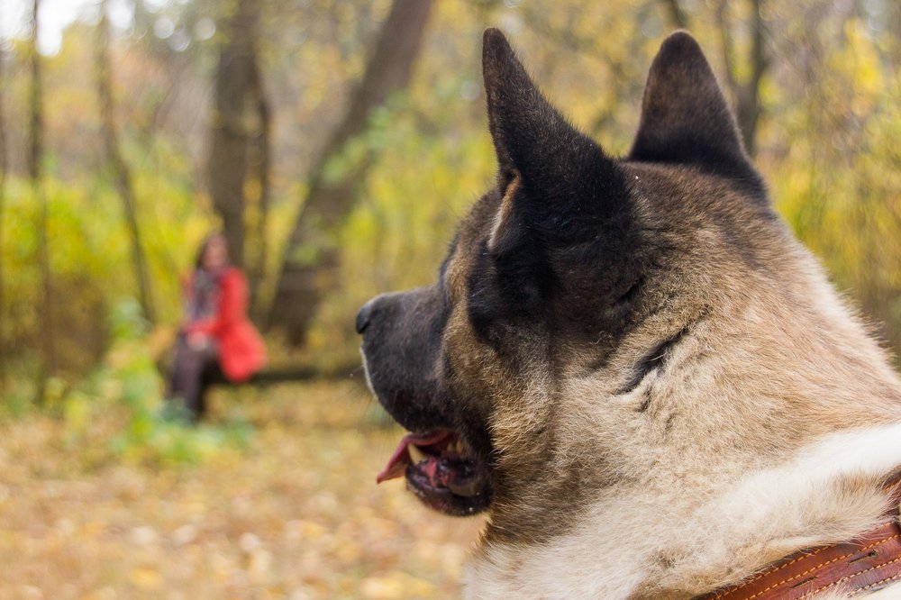 Photograph by Kirill Koshed