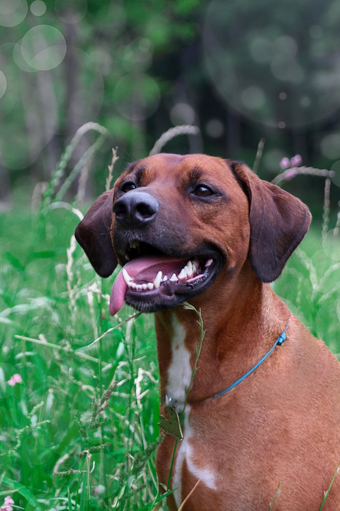 Photograph by Светлана Бевза