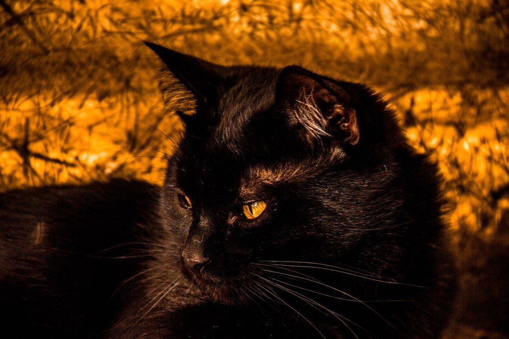 Photograph by Kirill Koshed