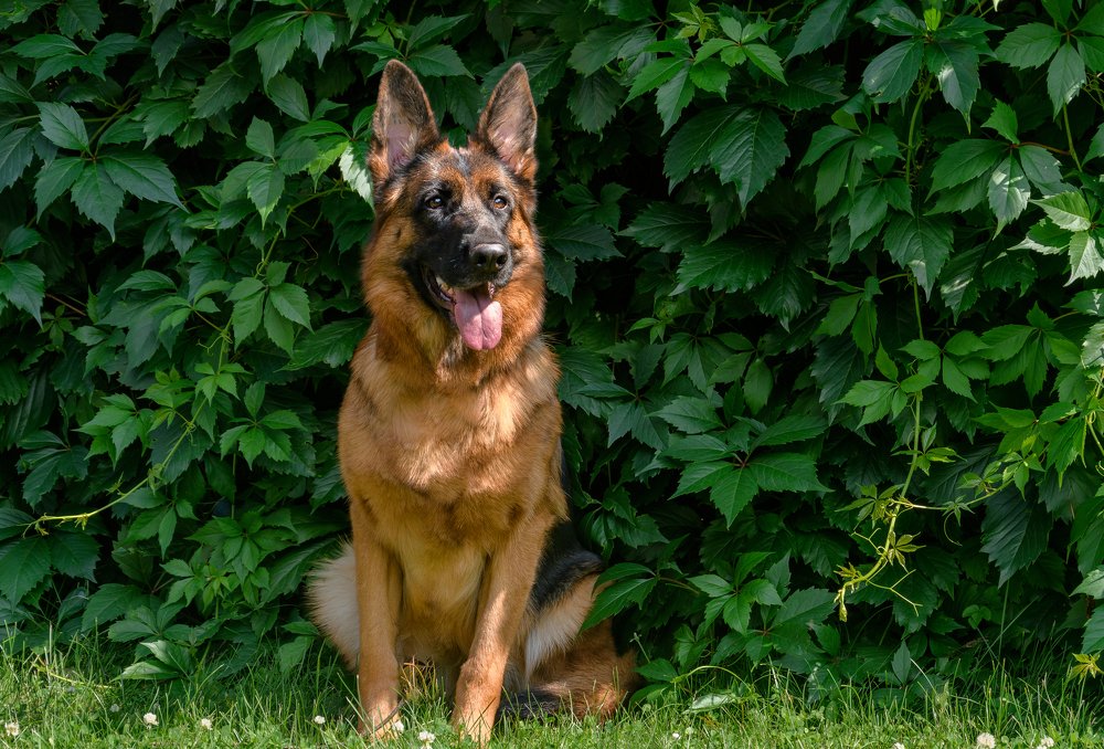 Photograph by Ксения Соварцева