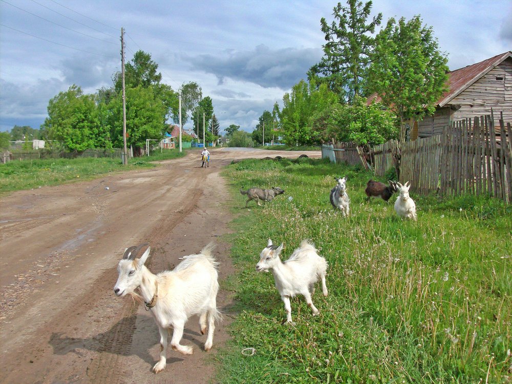 Фотография автора Клавдия Васильева