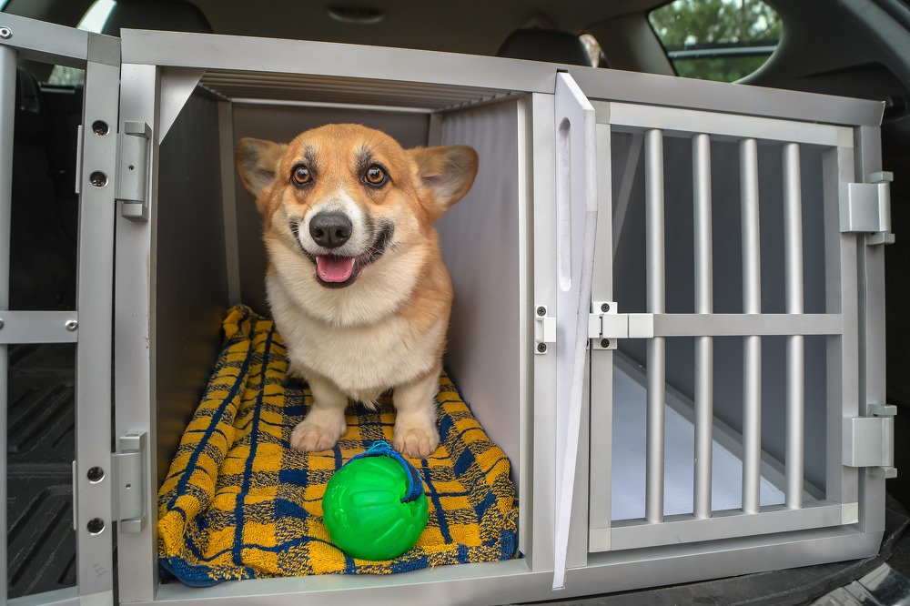 Photograph by Ксения Соварцева