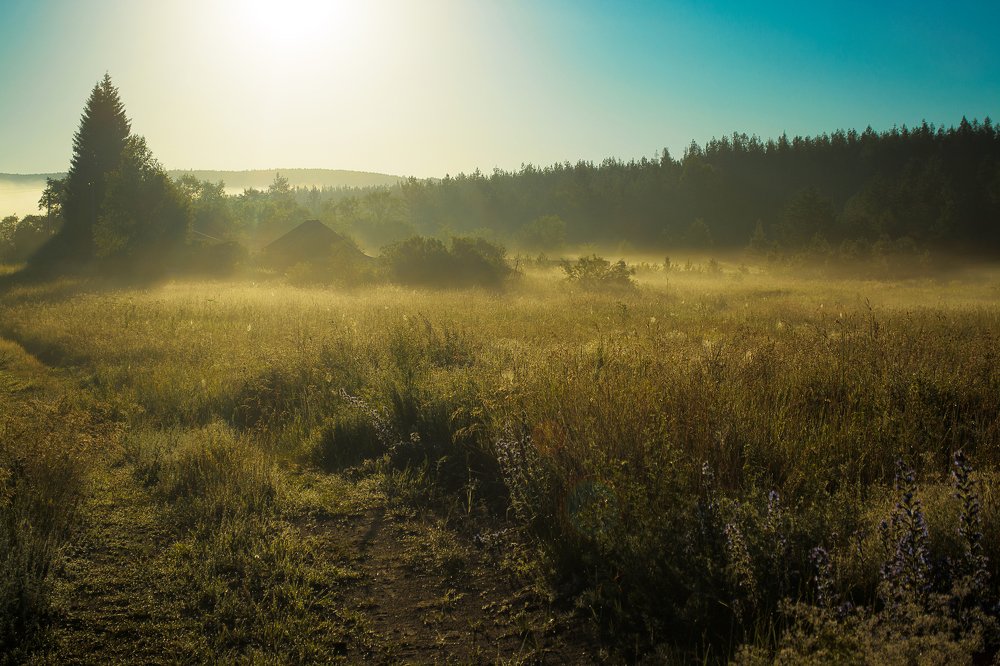 Photograph by Alisa Matveeva