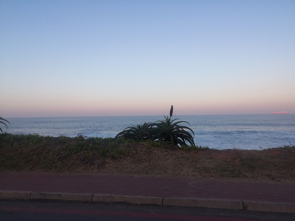 Photo #4966787