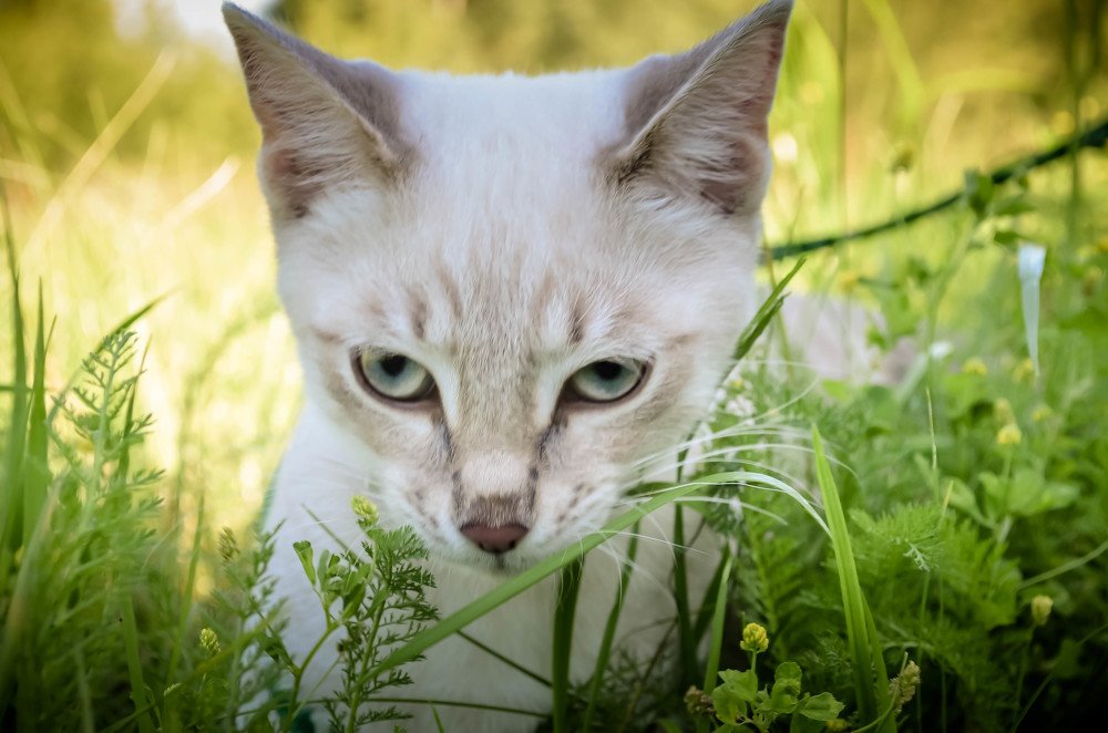 Photograph by Вадим Басов