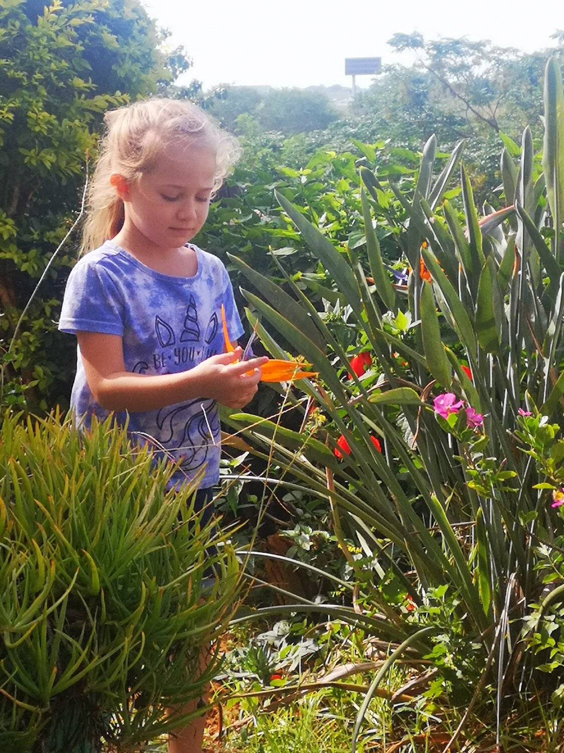 Photo #4966828