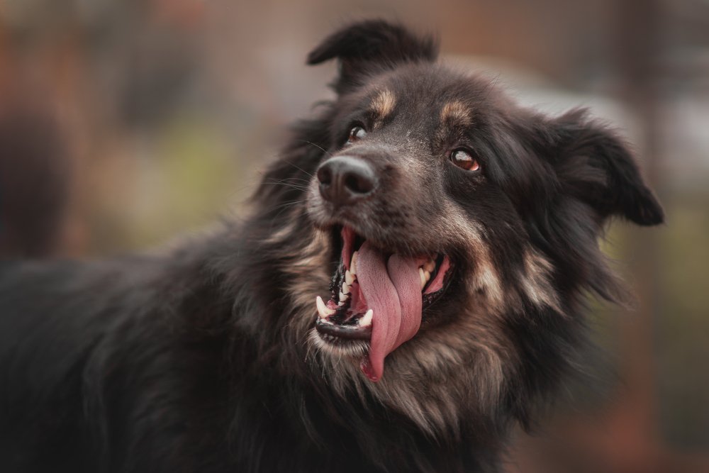 Photograph by Александра Башкуева