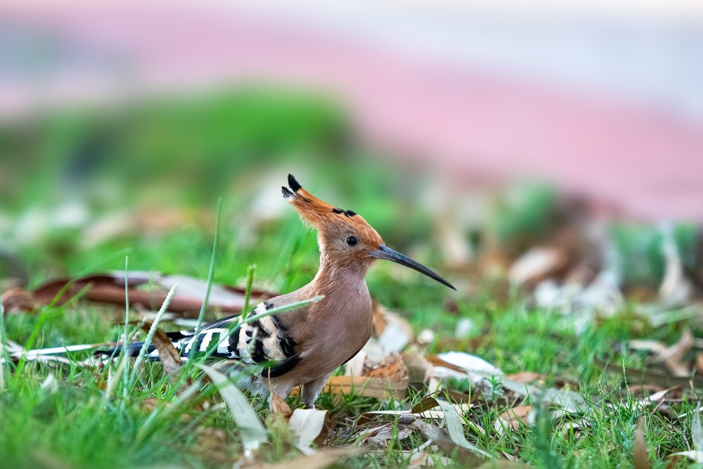 Photograph by Лея Лерер