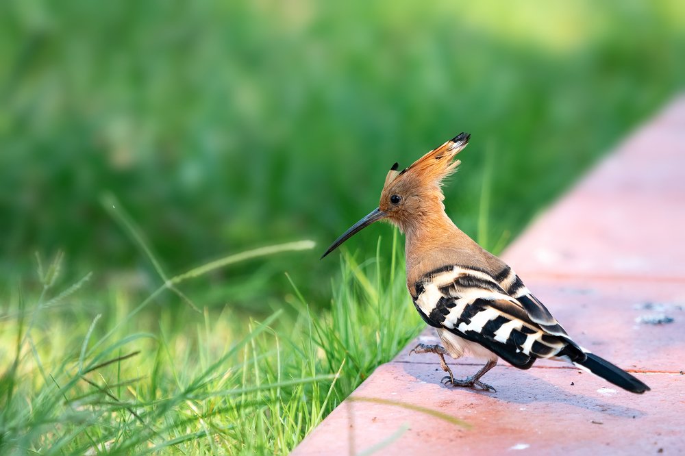 Photograph by Лея Лерер