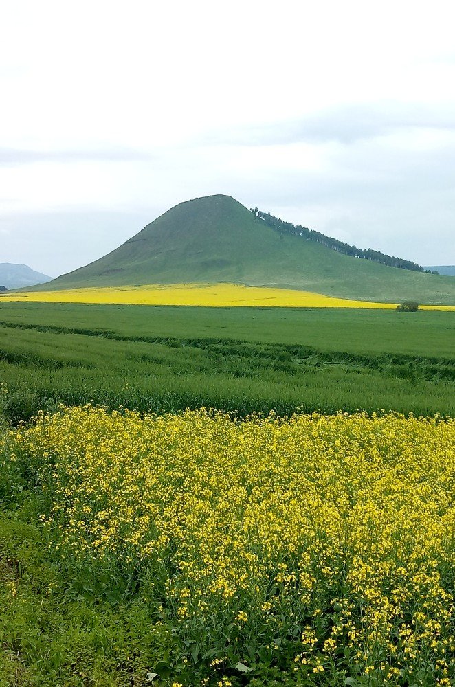 Змеиная гора.